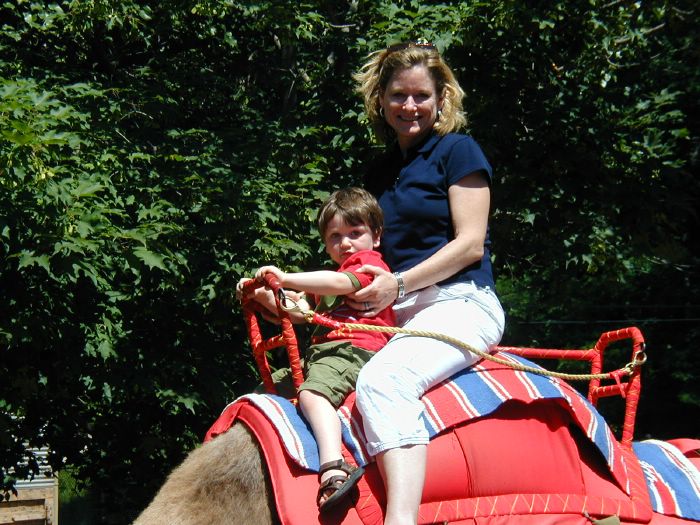 Camel Rides at the Zoo