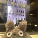 Totoro been drinking