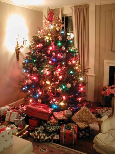 Big Tree, Lots of Presents
