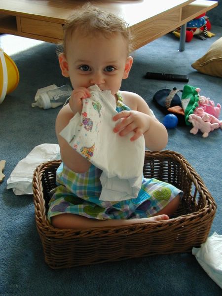 The Diaper Basket