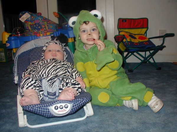 The Frog and the Zebra
