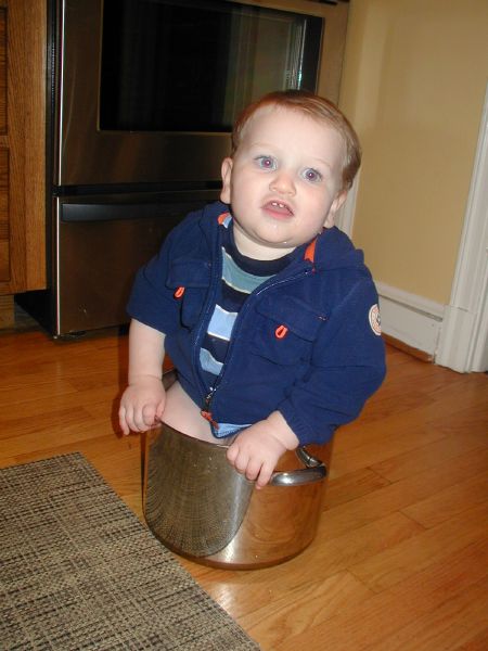 Will in a Pot