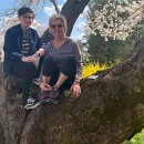 Annie and Aunt Anne with Kenwood cherry trees